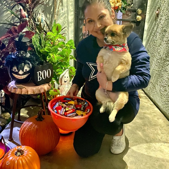 Meet your Posher, Sylvia - Picture 12 of 15